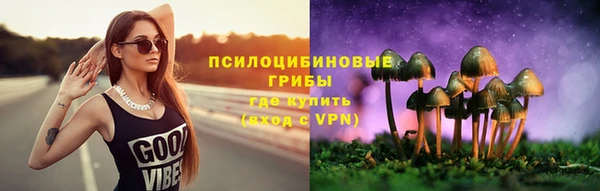 кокаин Белокуриха