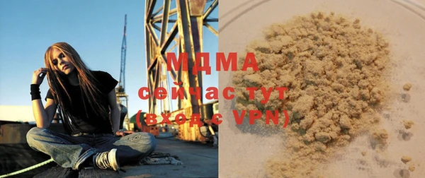 хмурый Тайга