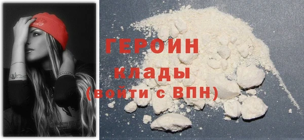 хмурый Тайга