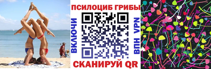 Галлюциногенные грибы Psilocybe  где купить   Кудымкар 